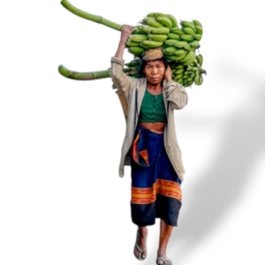 Hill Fruits & Vegetables