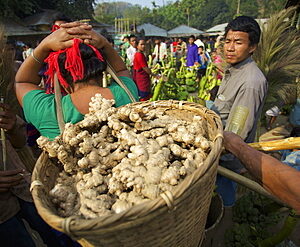 Agriculture Item