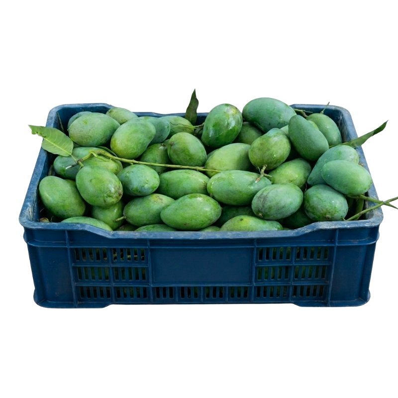 পাহাড়ি আম্রপালি আম (১০ কেজি প্যাকেজ)